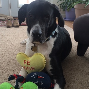 Fundraising Page: Kerrie Tura-Kalil